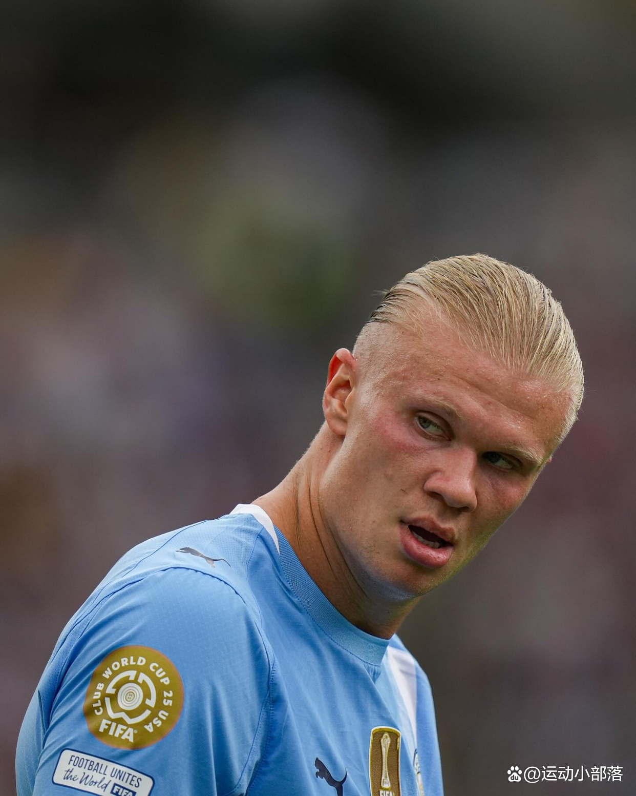 哈兰德今年 哈兰德今年